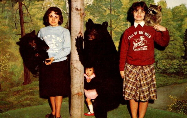 Call of the Wild - Vintage Promo Material (newer photo)